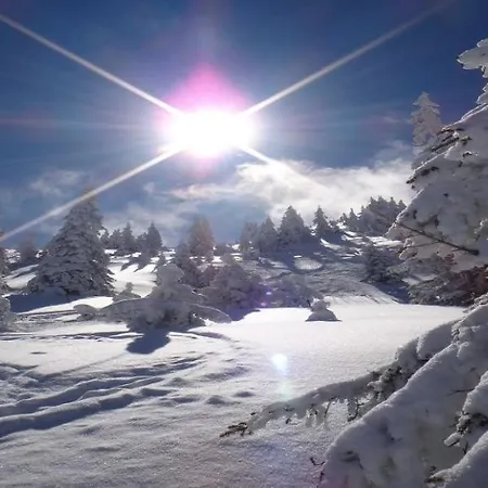 Alpenloft By Managers * Westendorf