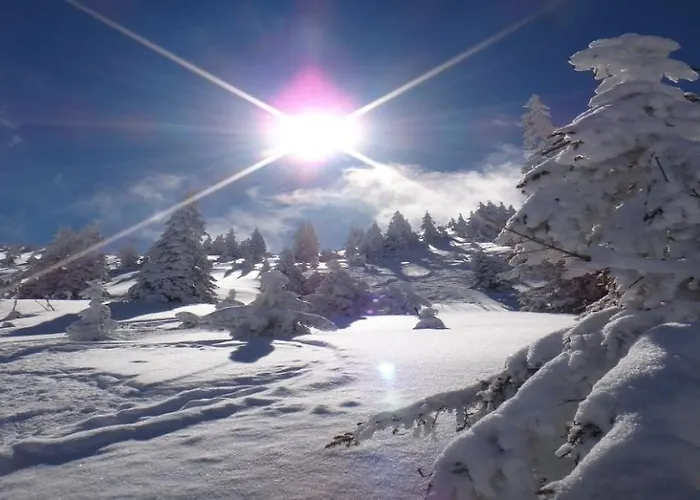 Alpenloft By Managers * Westendorf